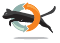 Shelter Boss By RescueConnection Software
