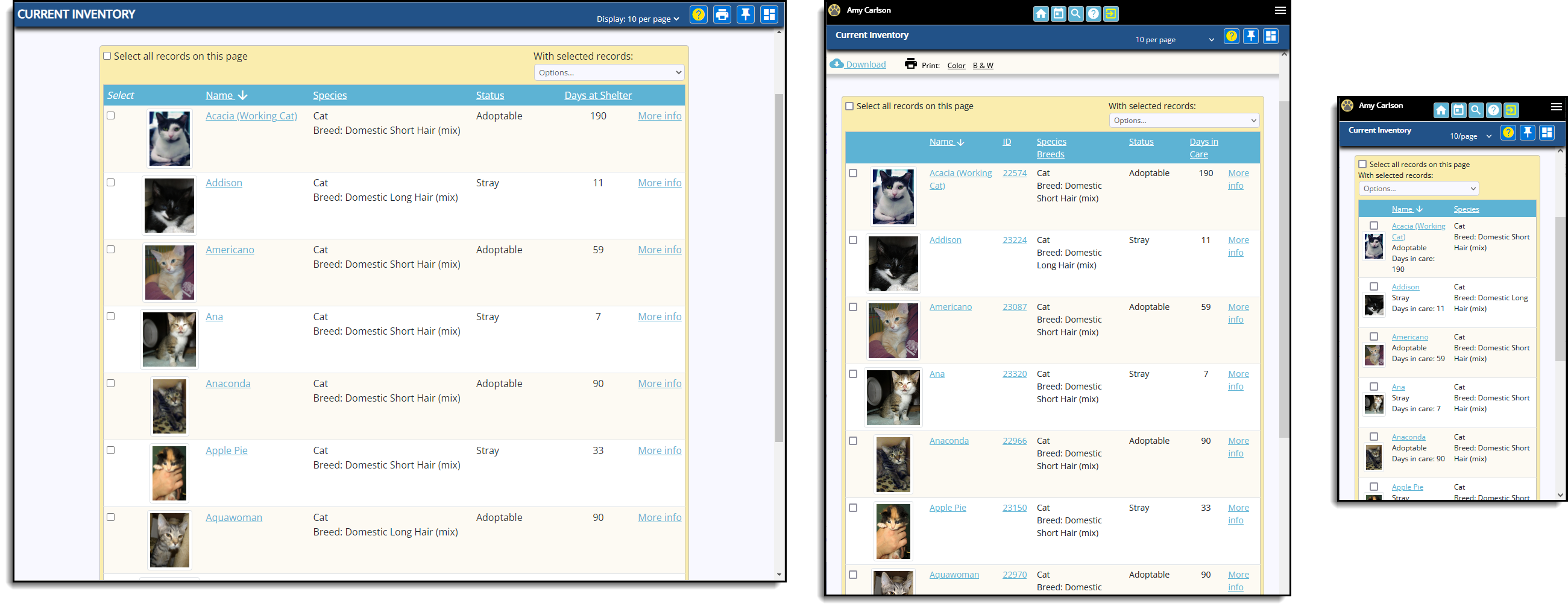 Responsive screen
